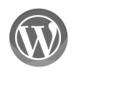 web-development-wordpress